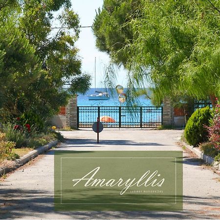 Amaryllis Summer Maisonettes Possidi Quarto foto