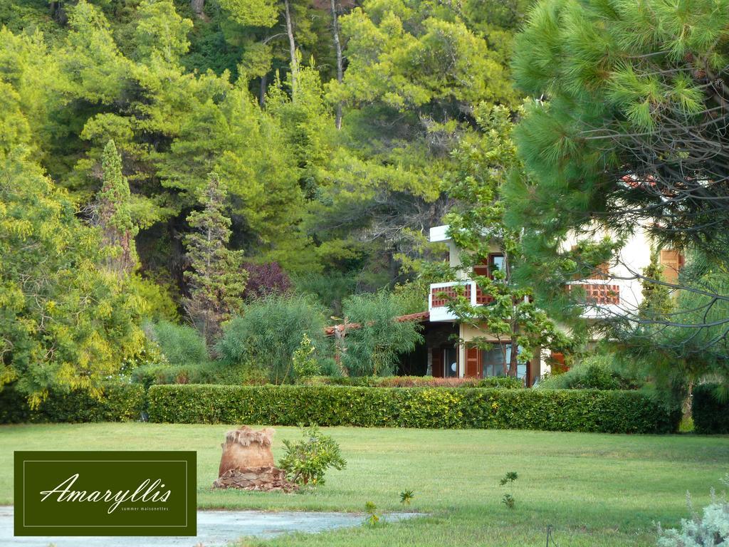 Amaryllis Summer Maisonettes Possidi Quarto foto