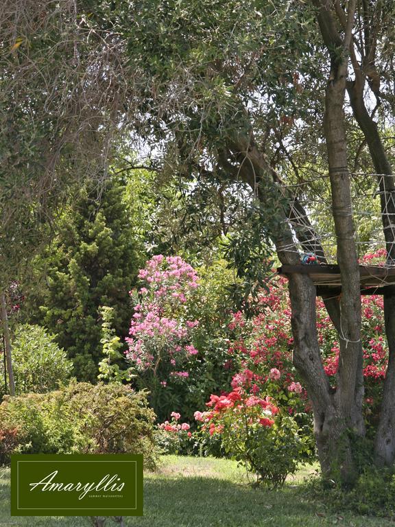 Amaryllis Summer Maisonettes Possidi Quarto foto