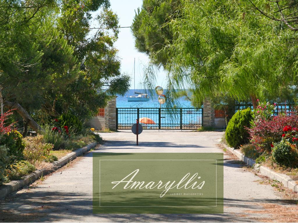 Amaryllis Summer Maisonettes Possidi Quarto foto